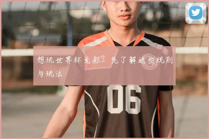 想玩世界杯竞彩？先了解这些规则与玩法