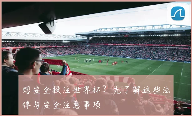 想安全投注世界杯？先了解这些法律与安全注意事项