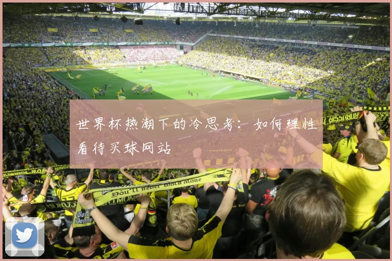 世界杯热潮下的冷思考：如何理性看待买球网站
