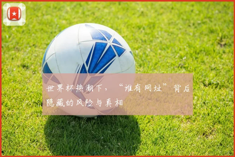 世界杯热潮下，“谁有网址”背后隐藏的风险与真相