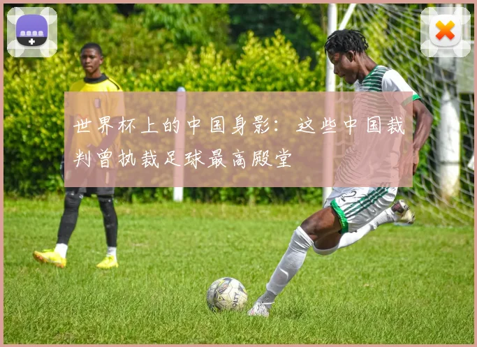 世界杯上的中国身影:这些中国裁判曾执裁足球最高殿堂
